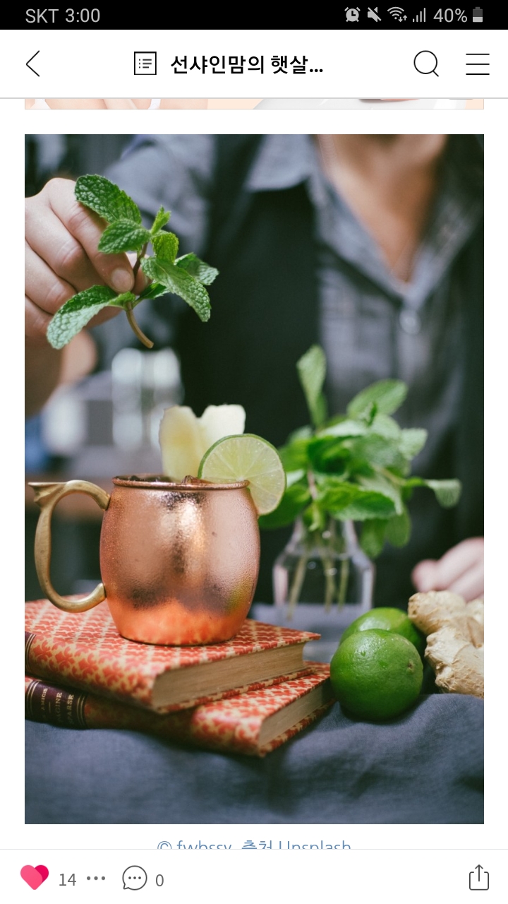 모이티,MOITEA,피부에좋은차,블렌딩티,로즈힙,루이보스,홈카페,마스크피부트러블,비타민차,애플시나몬,티선물,사무실간식,차선물세트