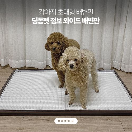 이탈리안홈 @ 이천 롯데 프리미엄 아울렛 입점 기념 다녀왔어요