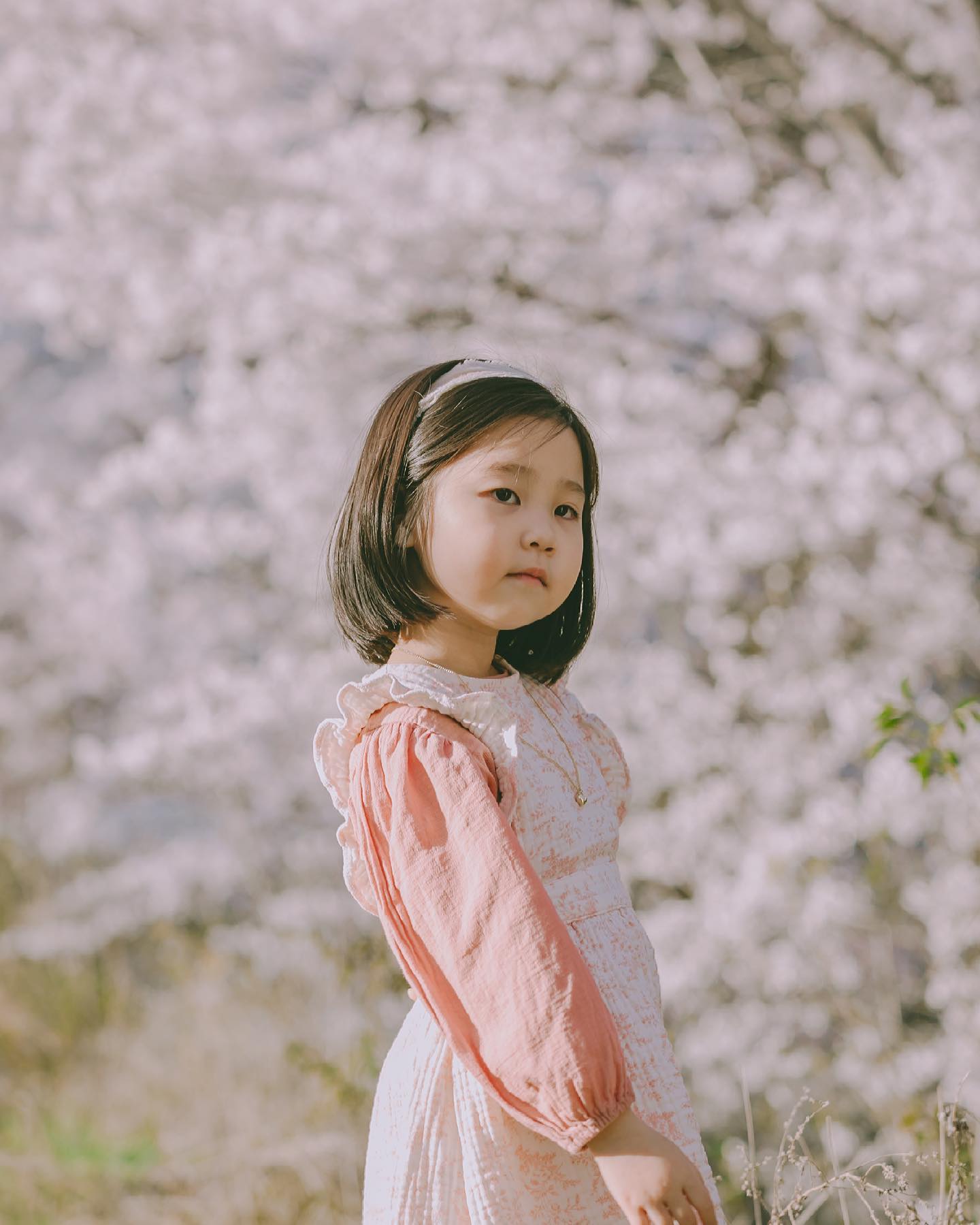 ⠀
너의 여섯번째 봄🌸
우래기 많이 컷다,증말-
출처 알 수 없는 묘한 표즈는 덜어내고 싶지만🙈
오새 자꾸 도도한척해요, 얘-
⠀
⠀
⠀
#벚꽃엔딩 #2021년 #봄날 #많이지난사진 #벌써여섯살 #딸스타그램 #꽃스타그램 #꽃은거들뿐 #엄마표스냅 #봄날 #벚꽃스타그램 #여섯살그램 #일상 #봄나들이 #야외스냅