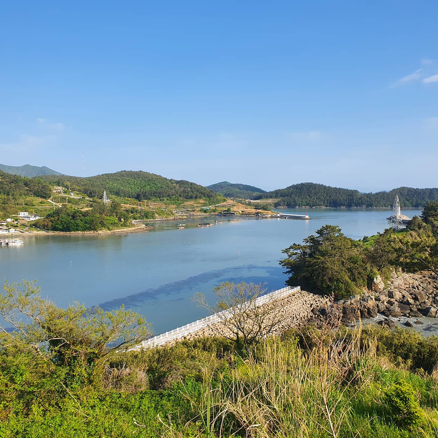 잠시 코로나 걱정은 잊고 산으로 
_
#남해 #고흥 #여행 #코로나 #안녕 #travel