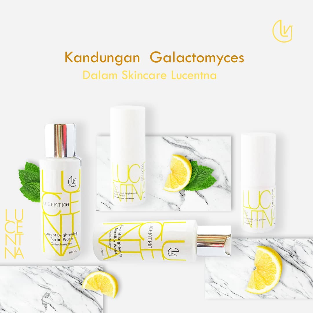 Produk dari Lucentna tidak hanya terkenal karena kandungan Tranexamic Acid saja. Ada juga kandungan Galactomyces di dalamnya. 

Apa itu Galactomyces? Galactomyces adalah sejenis fungus atau jamur yang terbuat dari saringan sisa bahan fermentasi atau pengasaman sake. 

Secara alami, bakteri dalam fungus galactomyces ini mampu memecah protein pada bahan lain sehingga bisa berfungsi secara maksimal dan mudah diserap kulit. 

Manfaat dari Galactomyces ini tidak main-main. Galactomyces memiliki anti oksidan dan vitamin yang kaya sehingga bisa membantu memperbaiki skin barrier. Ia juga mampu mencerahkan kulit, menyamarkan pori-pori, dan mengontrol kadar sebum dalam kulit. 

Masih ragu? Anda bisa berkonsultasi terlebih dahulu dengan tim Lucentna sebelum membeli produk kami. 

#lucentna #skincare #skincareset #serum #micellar #moisturizer #daycream #nightcream #skincareroutine #skincareindonesia #skincarebpom #tranexamicacid #flekhitam #kulitglowing #wajahglowing #kulitcerah #melasma