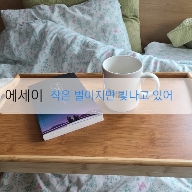 베스트셀러 책추천,에세이추천 베스트셀러 작은 별이지만 빛나고 있어