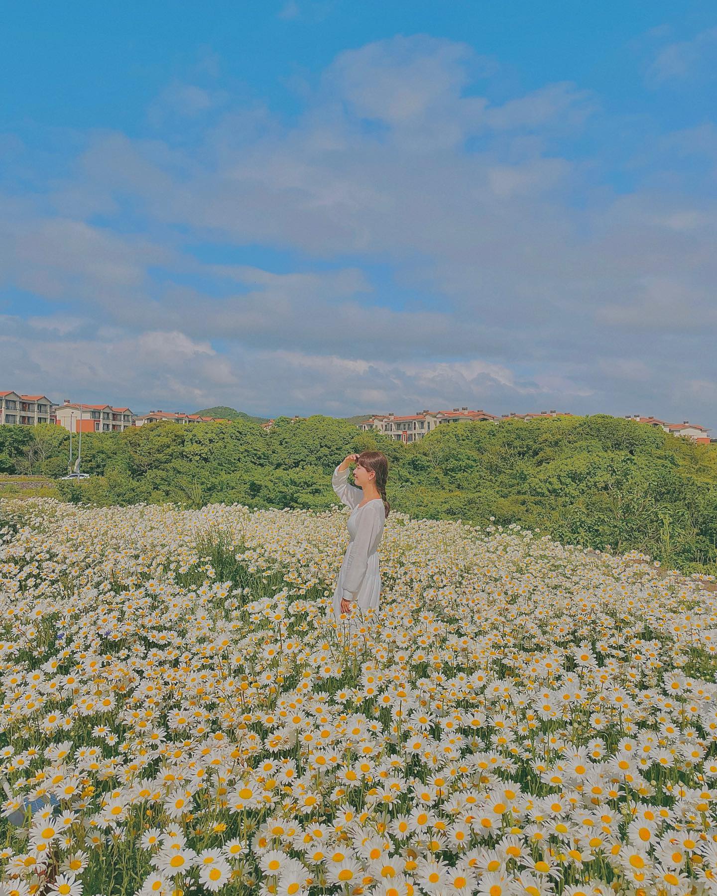 데이지 예뻐요🤍💛🤍💛🍳

#제주도 #제주여행 #신화월드 #데이지