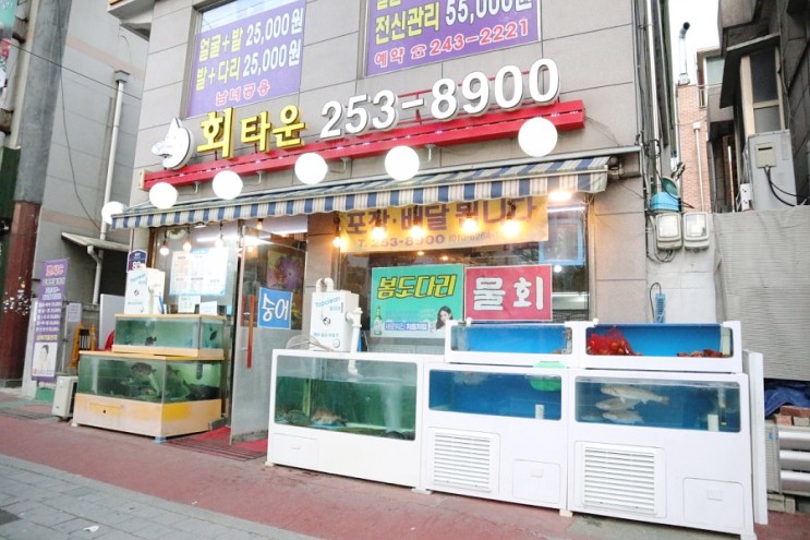 [수원/조원동] 두툼한게 너무 맛있었던 수원 회맛집-회타운