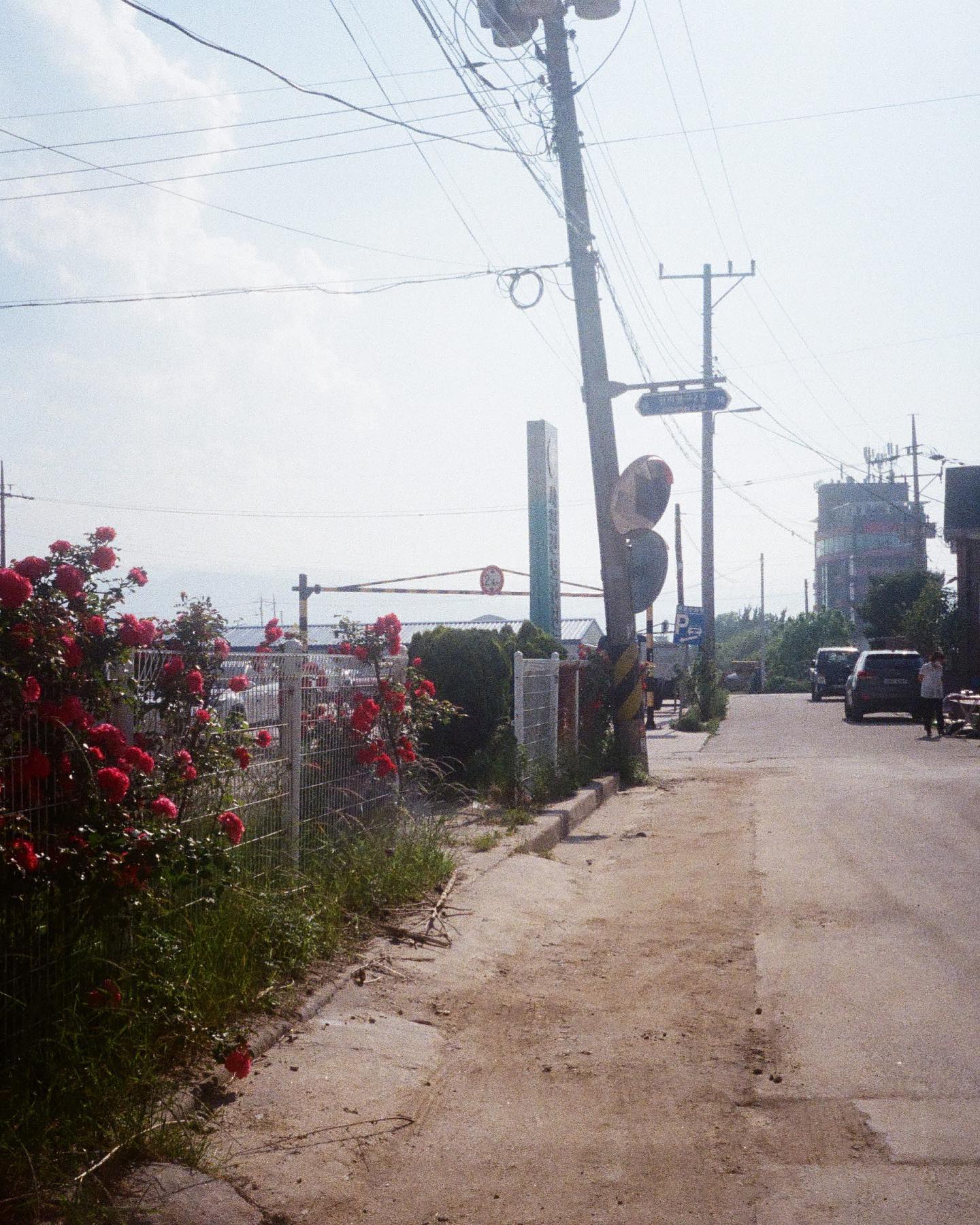 동네가 이쁘고 하늘이 맑아서 찍어보았습니다. Olympus Pen ee3- Kodak Ultramax 400
