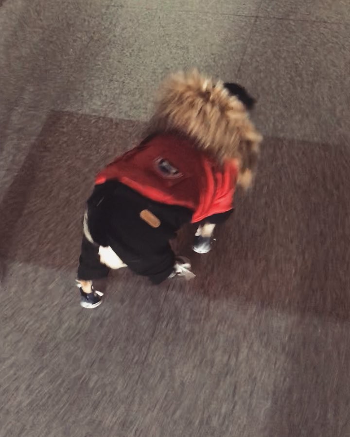 𝗦𝗮𝗲 𝗞𝘆𝗲𝗼𝗻𝗴 ੯•́ ໒꒱ on Instagram: “⠀ 구블리🐶🖤”
