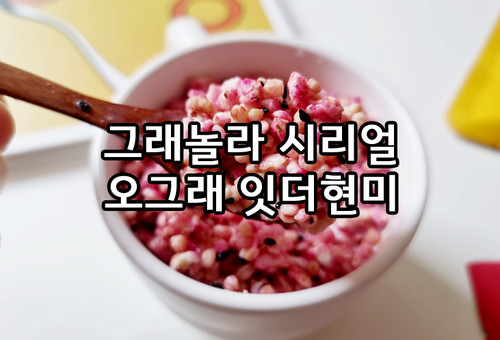 그래놀라 시리얼 오그래 잇더현미