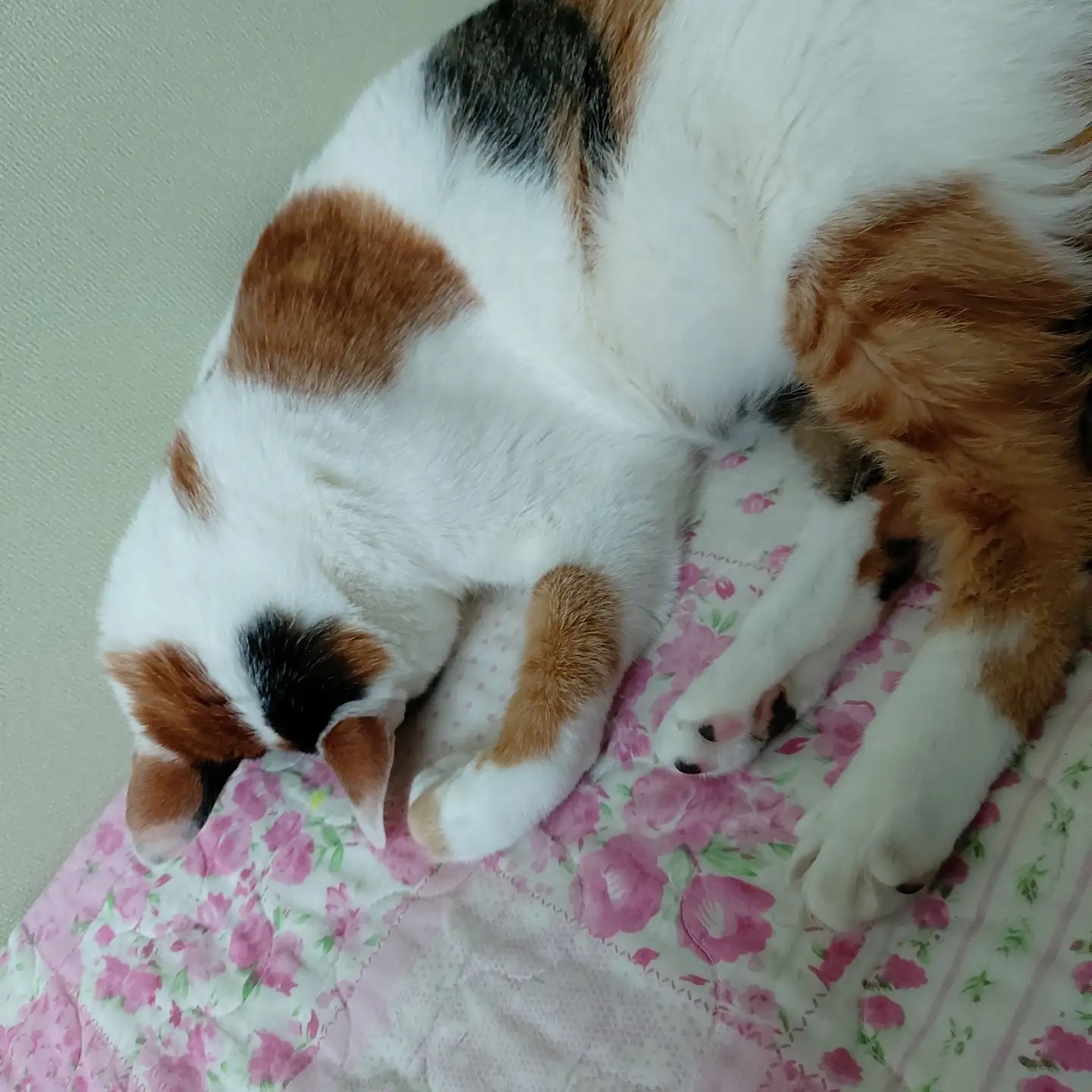 #이러고자는이유좀