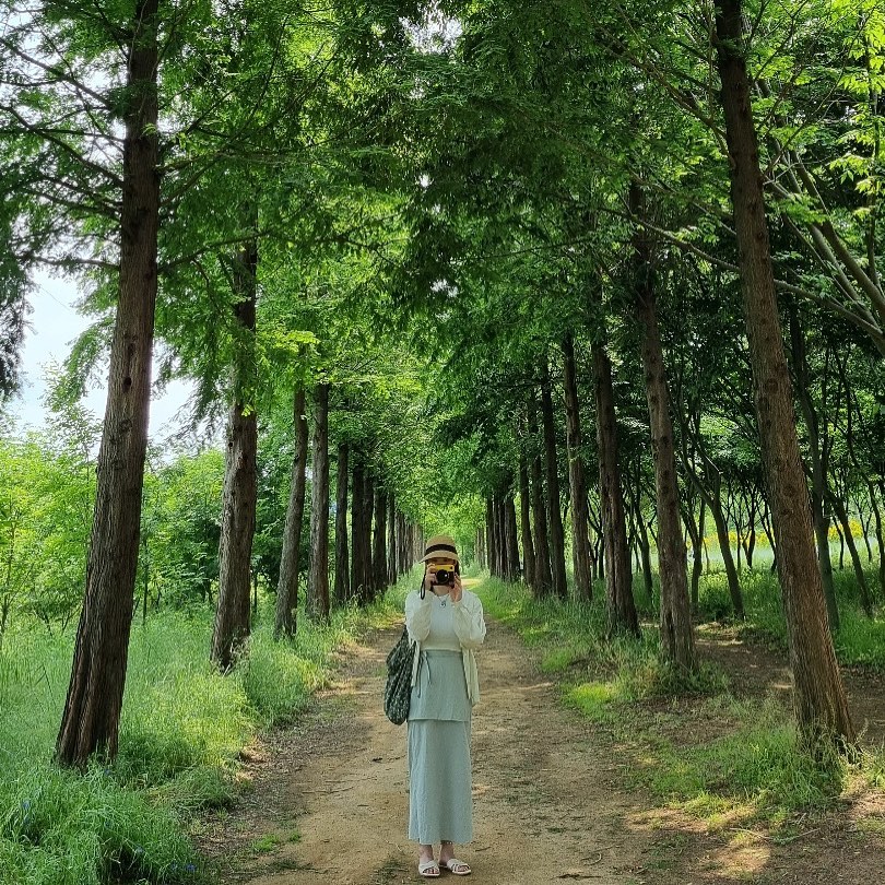 ⠀ 
🌴🌿
⠀ 
🏷#suzy_trip당진