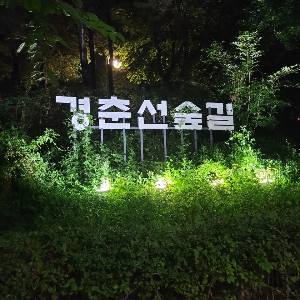 #노원#공릉 #경춘선숲길 #노원불빛정원 #옛날화랑대역 #전철역#달