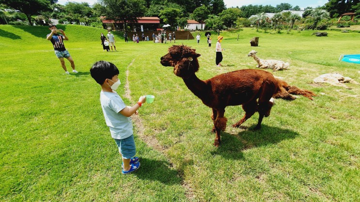 제주 아이와 가볼 만한 곳 화조원 테마파크 애월 여행 필수 코스