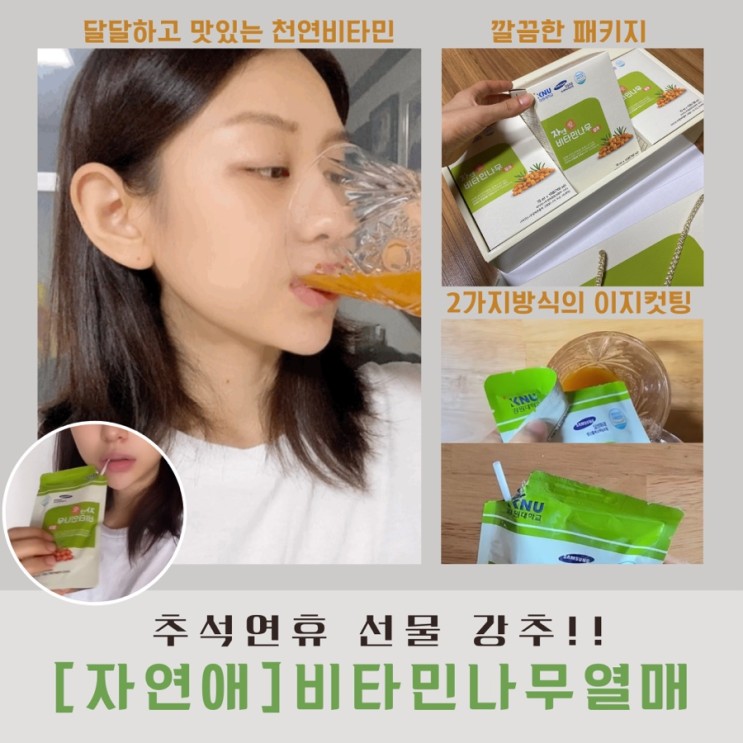 추석선물추천 [자연애] 비타민나무열매
