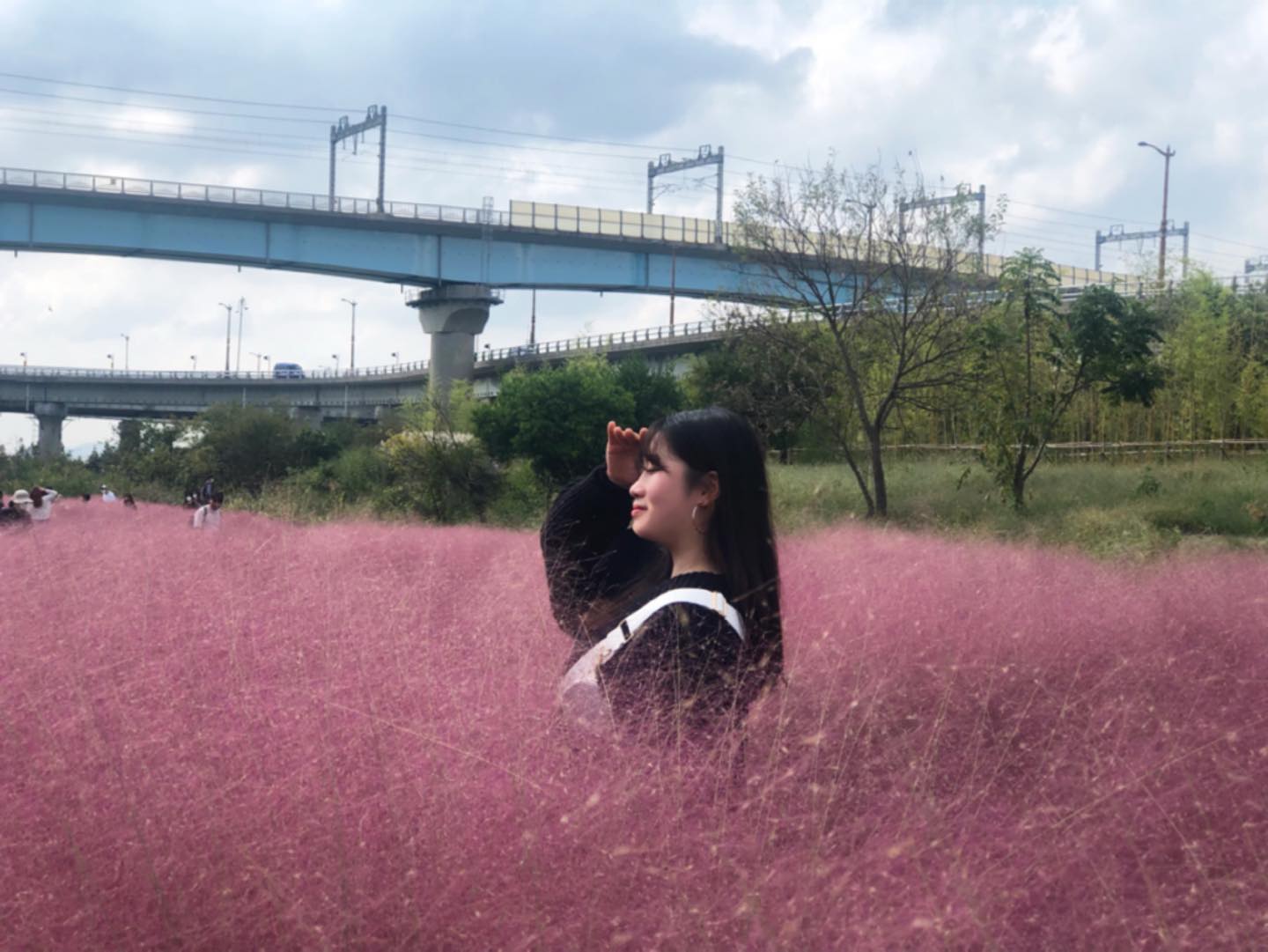 #핑크뮬리