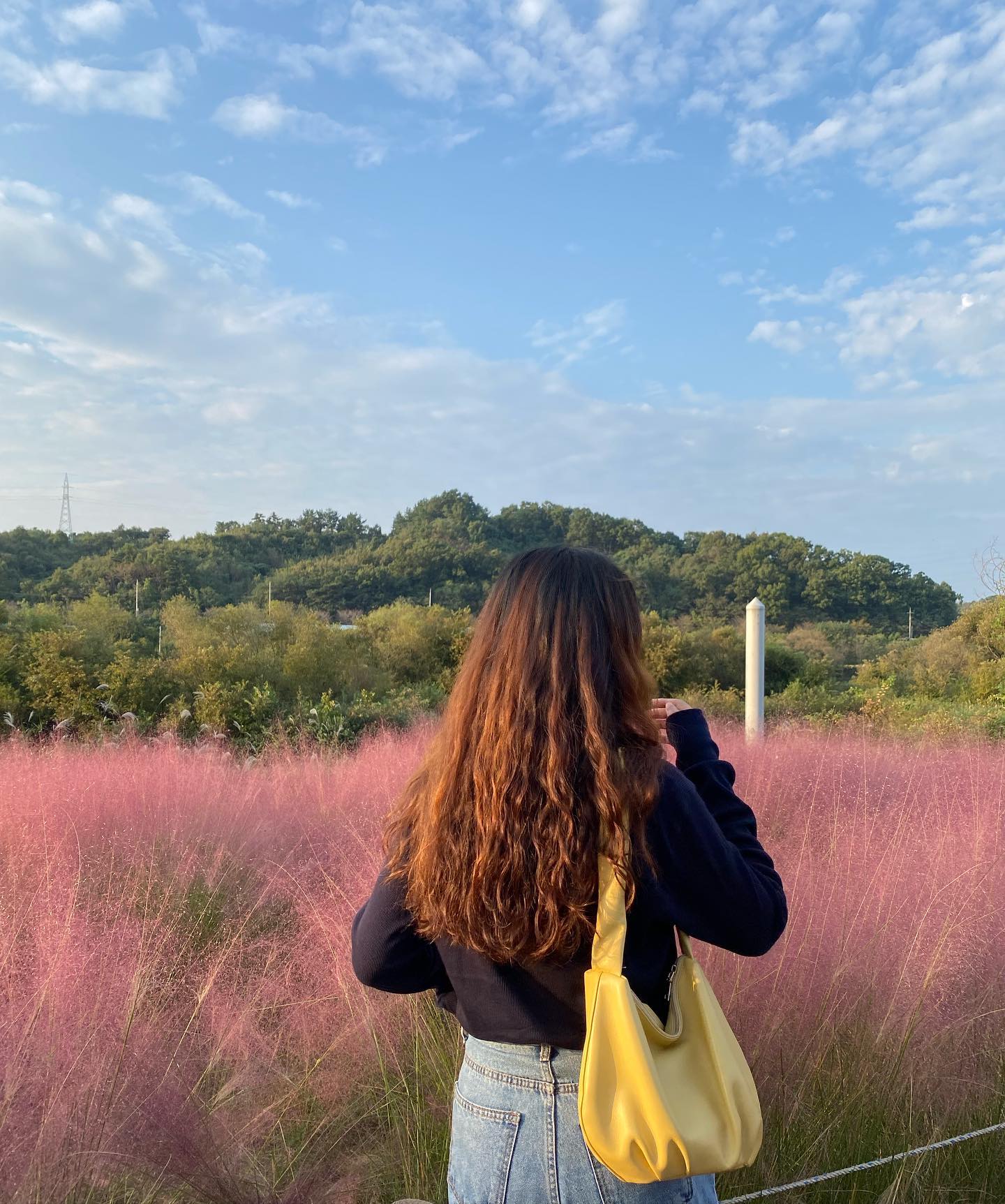 처음 가봄ㅎ.ㅎ🍃🍂🌸 

#금강로하스산호빛공원 #핑크뮬리 #머리푸들