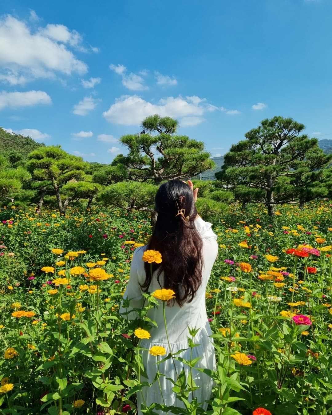 🌺🌿🌼

#고창데이트 #꽃객프로젝트 #꽃밭 #전주근교나들이 #럽스타 #첫줄