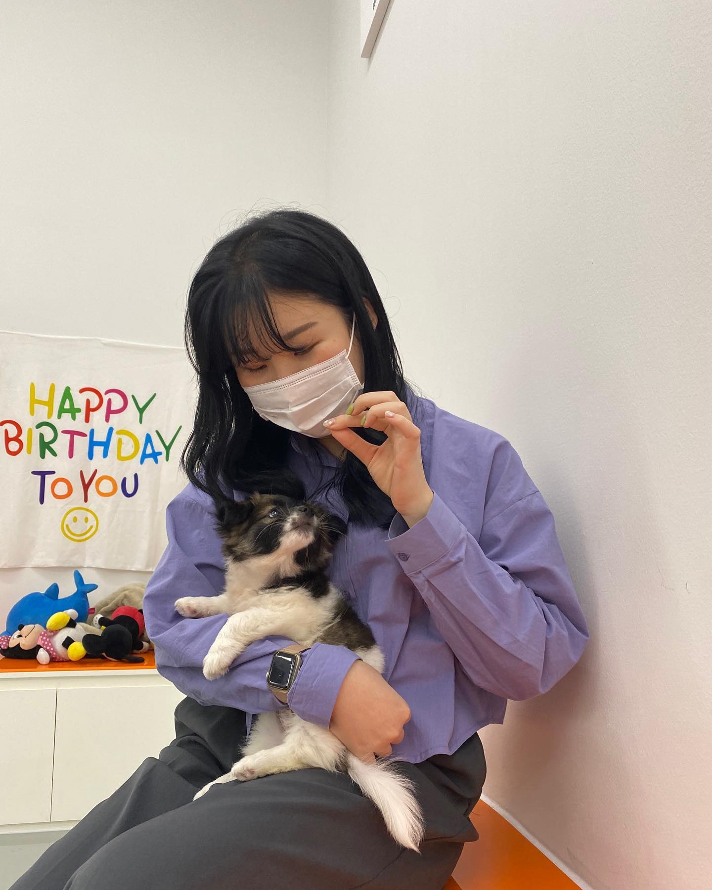 귀여운 것들 투성이 🐶🌈💜
