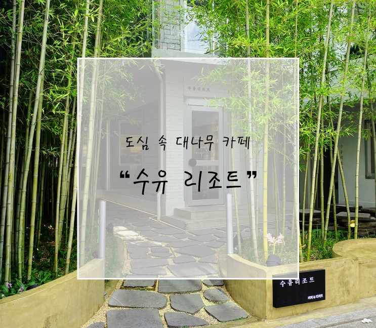 [수유카페] 대나무가 울창한 카페 "수유 리조트"