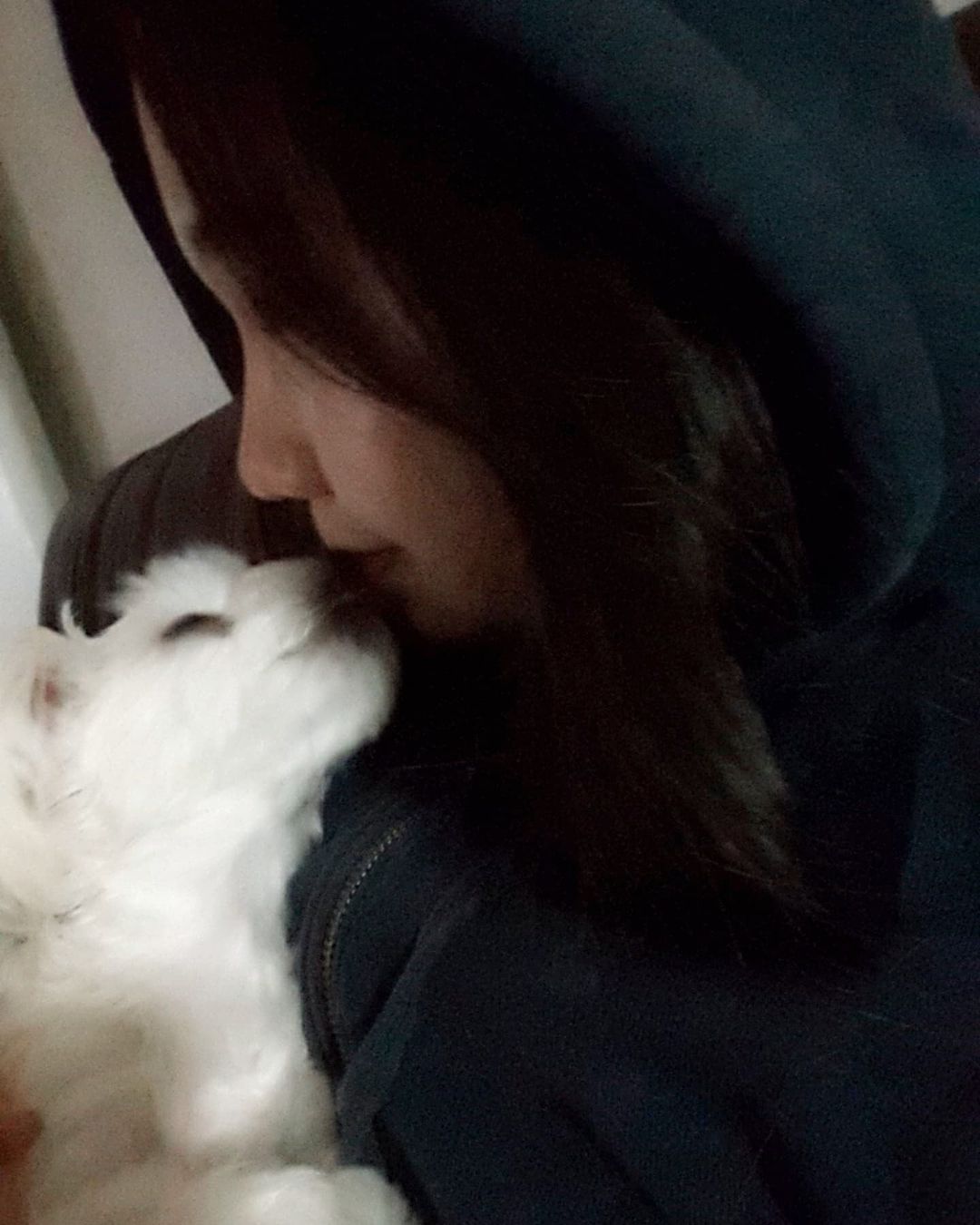 Kim se hee 세힣 on Instagram: “#광고 신혼집 입주하니까 우리미정이 보고싶을때마다 못보는게 제일 슬프다 ㅠㅠ 보고싶다 김미정이 그런 의미에서 이번에 아주 뜻깊은 챌린지에 참여하게되었