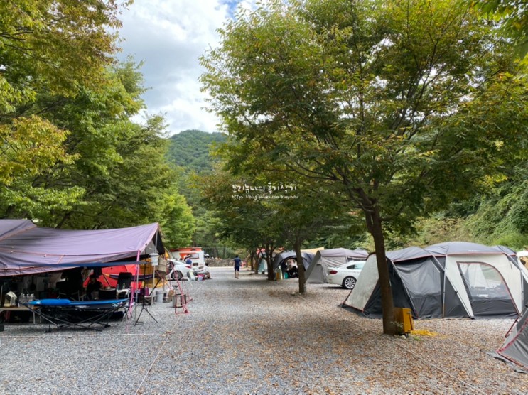 [캠린이의 도전::캠핑장#1]영월 내리계곡솔밭캠핑장, 시설 깨끗하고 계곡이 있어 첫 캠핑으로 추천!(feat.오토2 27번 사이트!)