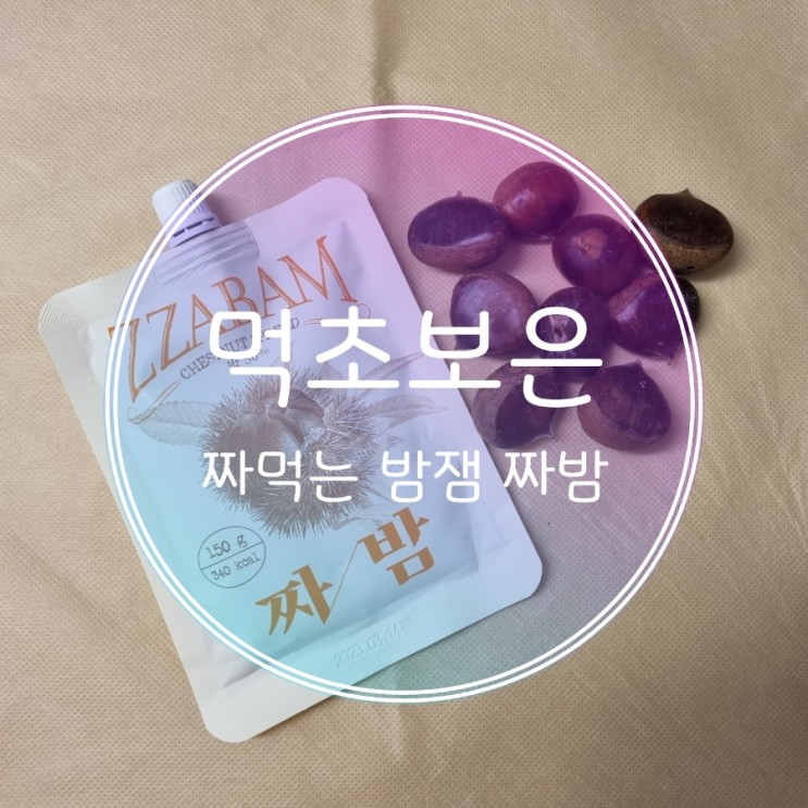 먹초보은 밤 스프레드 짜밤 짜먹는 맛있는 밤잼