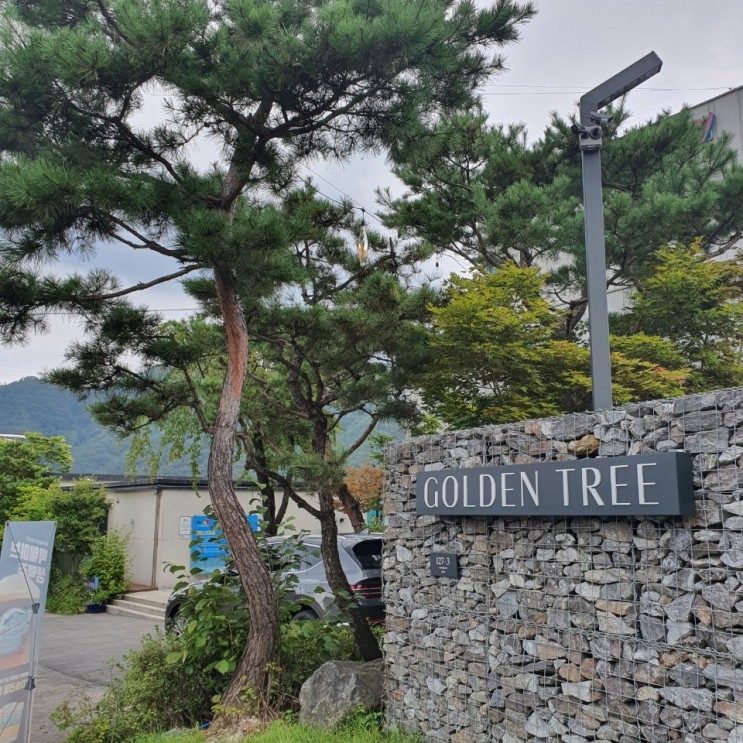 가평카페투어,골든트리 'GOLDEN TREE'