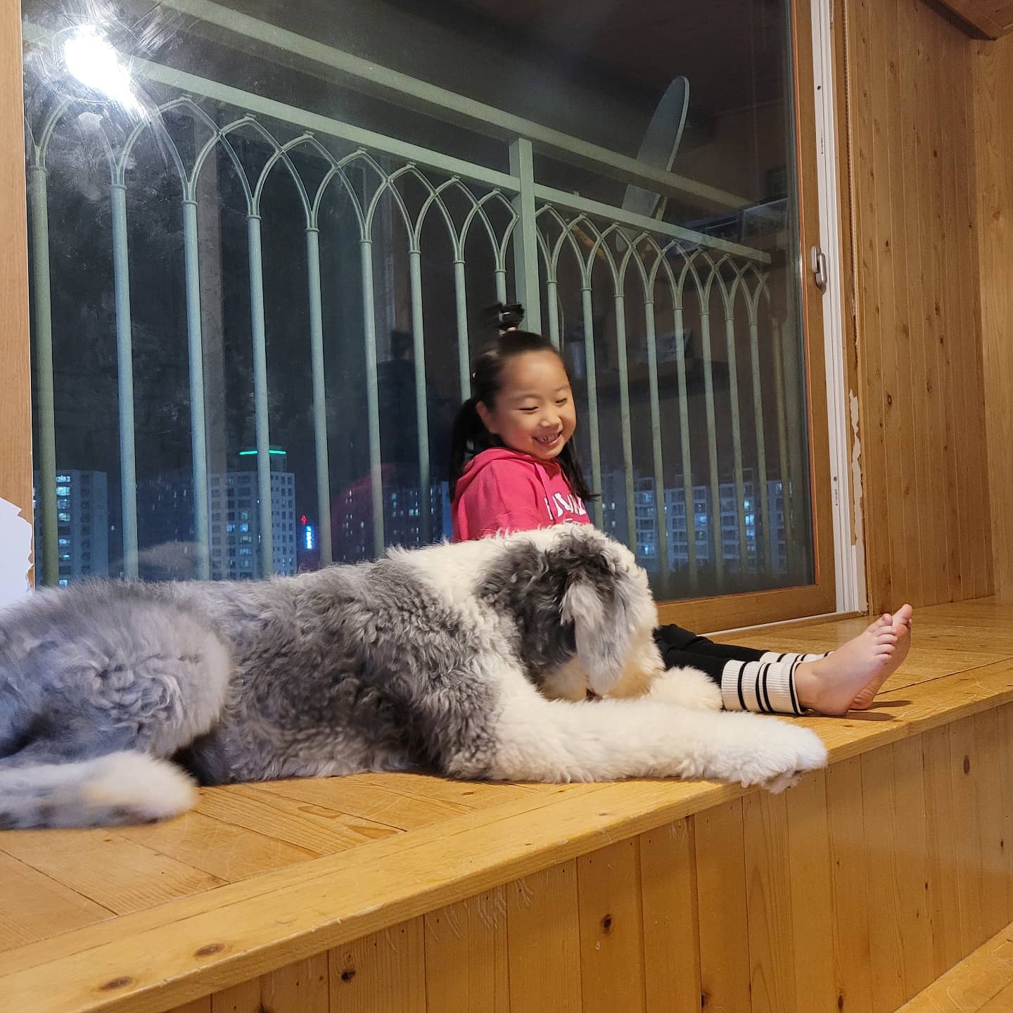 아무것도하기싫은요즘
⠀
무기력장난아니네요 🤣
날이 추워져서 그런가 집에오면 누워만있고싶고
놀고만싶고 ㅋㅋㅋㅋ
일도하기싫고 (일은 언제나하기싫었지만🤭🤭 )
⠀
벌써 또 주말에 놀 궁리중인거 안비밀🤫
⠀
⠀
#사진은언제나사이좋음
#절친인척#안무서운척#이뻐하는척
#벌써퇴근하고싶다
#샷시코랑이가다뜯음#베란다난리