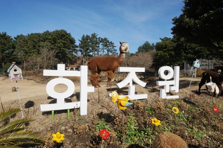 제주동물원 화조원 재방문 자유롭게 거니는 동물들 애월아이와가볼만한곳