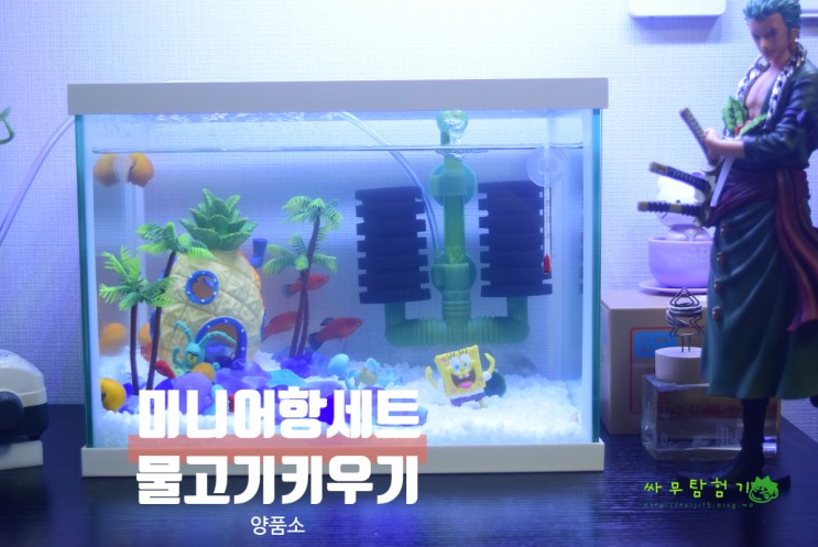 양품소 미니 어항세트 물고기키우기 스펀지밥
