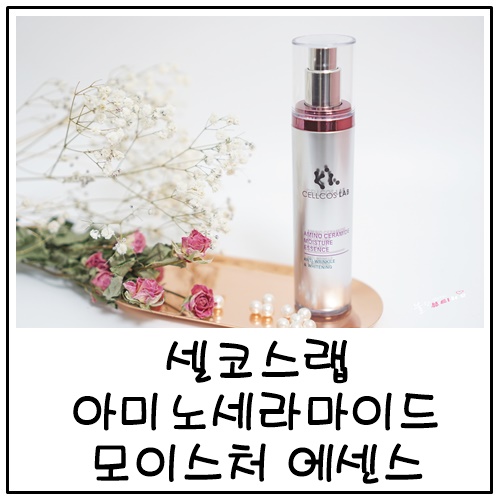 피부장벽강화 돕는 에센스추천 셀코스랩 아미노세라마이드 모이스처 에센스