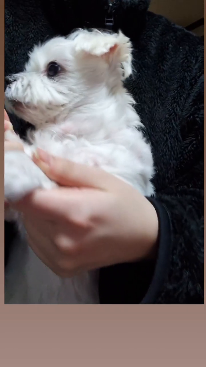 끝까지 보ㅏ야해...