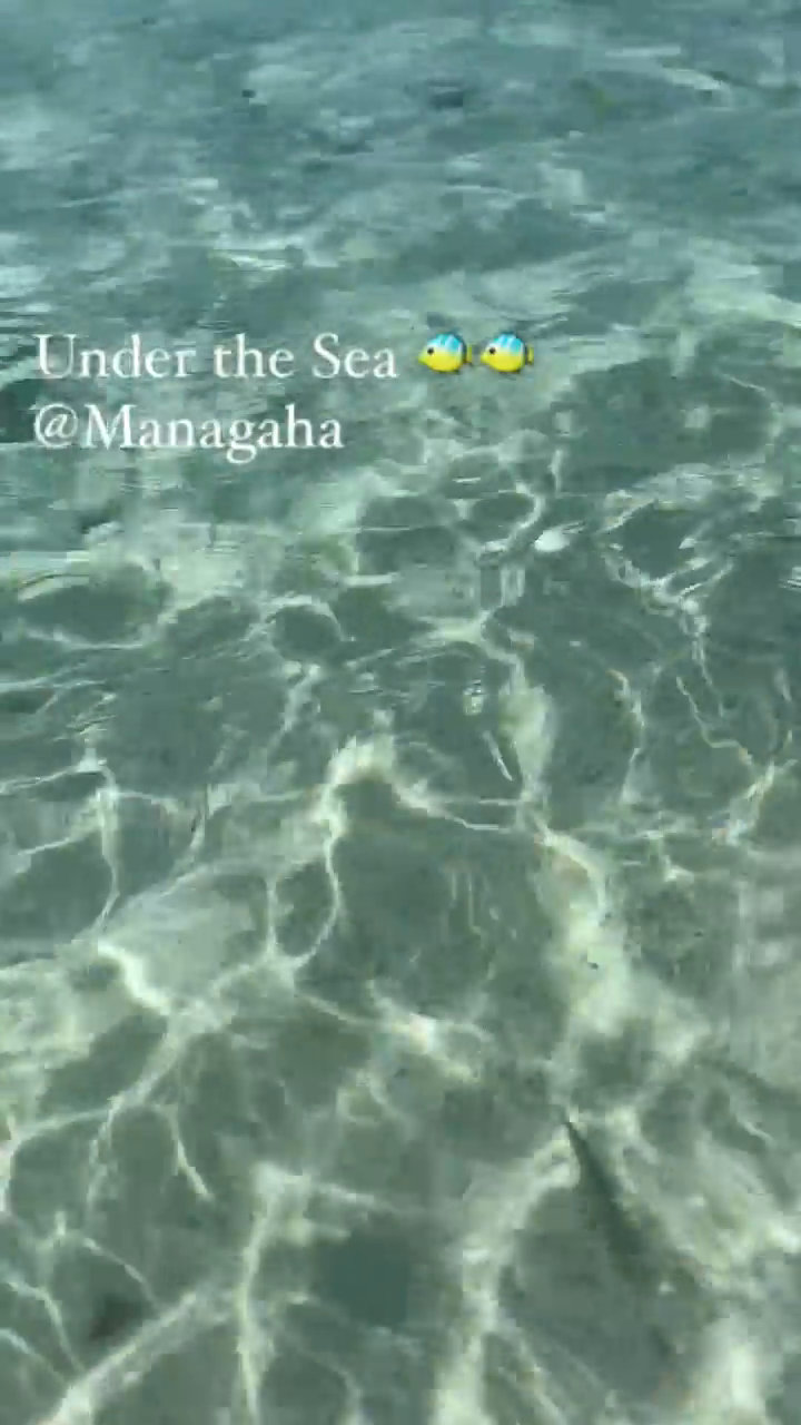 물밖에서도 보이는 이 투명함이란 ✨
진정한 에메랄드빛 바다다🏝

🐠🐠 쟤네도 내가 무섭겠지만 팔뚝만한 애들이 떼로 지나가면 괜히 부딪힐까 #무섭다 가끔 무는 애들도 있어서 #줄행랑 

그래도 깊이 안들어가도 물고기 많고 
무엇보다 한적해서 좋다 😎😎

#놀러온거아니지만모처럼놀았음
#마나가하섬 #사이판여행 #사이판투어 #사이판스노클링 #cto #saipan #snorkeling #underthesea