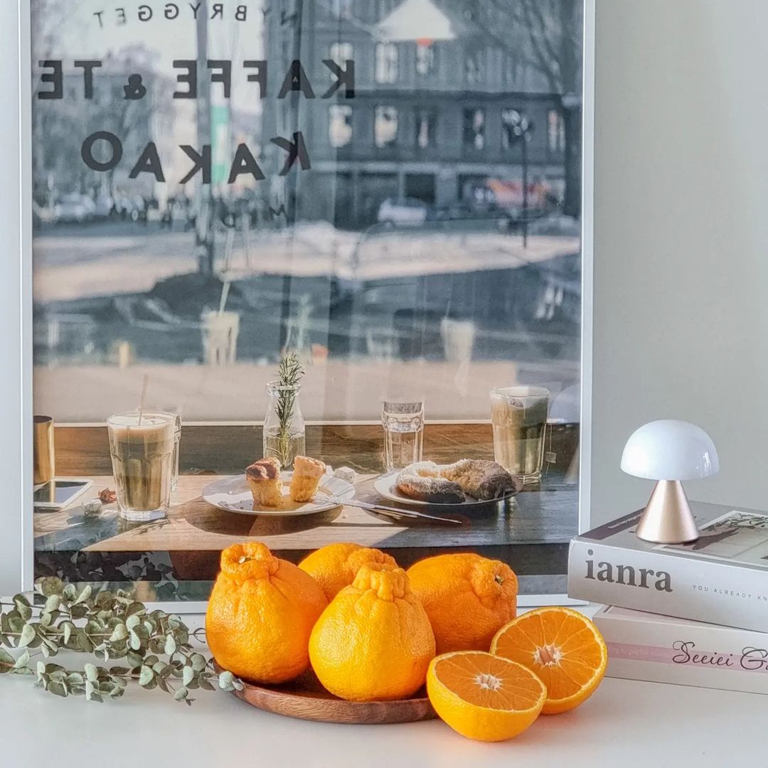 현이네 😋 현이네상점 🏠 on Instagram: “#제품협찬 주말 아침 상콤하게 한라봉 먹고 시작했어요 🍊 달콤해서 현이들이 손을 쉬지를 않네요 ㅎㅎ 큼지막한 한라봉 1.5kg이 19,000원~ 곧 다가올