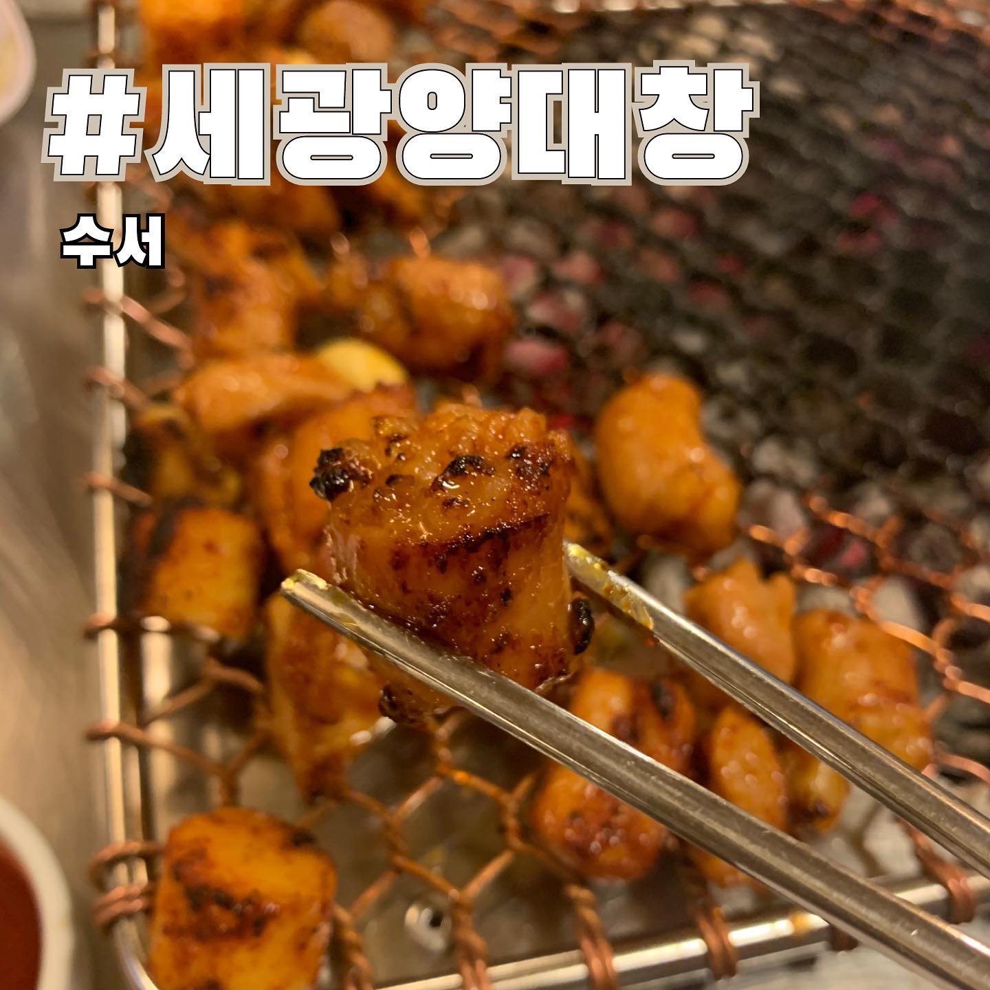 오늘 소개해드릴 곳은 수서역에 위치한 #양대창맛집  #세광양대창 입니다

▪signature menu
✔모둠구이(45,000)
✔대창구이 (14,000)
✔곱창전골 (17,000)
✔양볶음밥 (12,000)

식하! 여러분 잘지내셨나요? 정말 너무너무 오랜만에 찾아온 식탐이랍니다 간만에 업로드하려니 조금 떨리네요 ☺️ 설레는 마음은 넣어두고 오늘의 맛집 소개해드릴게요🌷

오늘의 맛집은 교대본점을 중심으로 #강남 #송파 #분당 등 서울과 경기권역 곳곳에 위치한, #양대창맛집 으로 소문이 자자한 #세광양대창 입니다

처음 방문하시는 분들께는 대창,막창,특양구이 1인분씩 주문하시길 추천드릴게요💛

매콤하게 양념된 대창과 특양구이를 먹고 있다보면 어느새 ‘사장님 1인분더주세요~’라고 외치는 자신을 발견 할 수 있을거예요 

대창구이 다 먹고 적당히 배가 찾다면 K-후식 양볶음밥은 필수로 주문해줘야겠죠? 

금요일 저녁, 퇴근 후 쏘맥이 땡긴다? 세광양대창 추천드립니다 그럼 오늘도 좋은 하루 되시구요 저는 또 맛집컨텐츠와 함께 돌아오겠습니다 또만나요💗

#먹스타그램 #맛스타 #맛스타그램 #송파맛집 #강남맛집 #강남 #잠실 #먹팔해요 #먹스타맞팔 #소통 #대창맛집 #좋반 #좋아요 #좋아요반사 #좋테 #먹팔해요 #맞팔해요 #먹팔 #대창구이맛집 #수서맛집