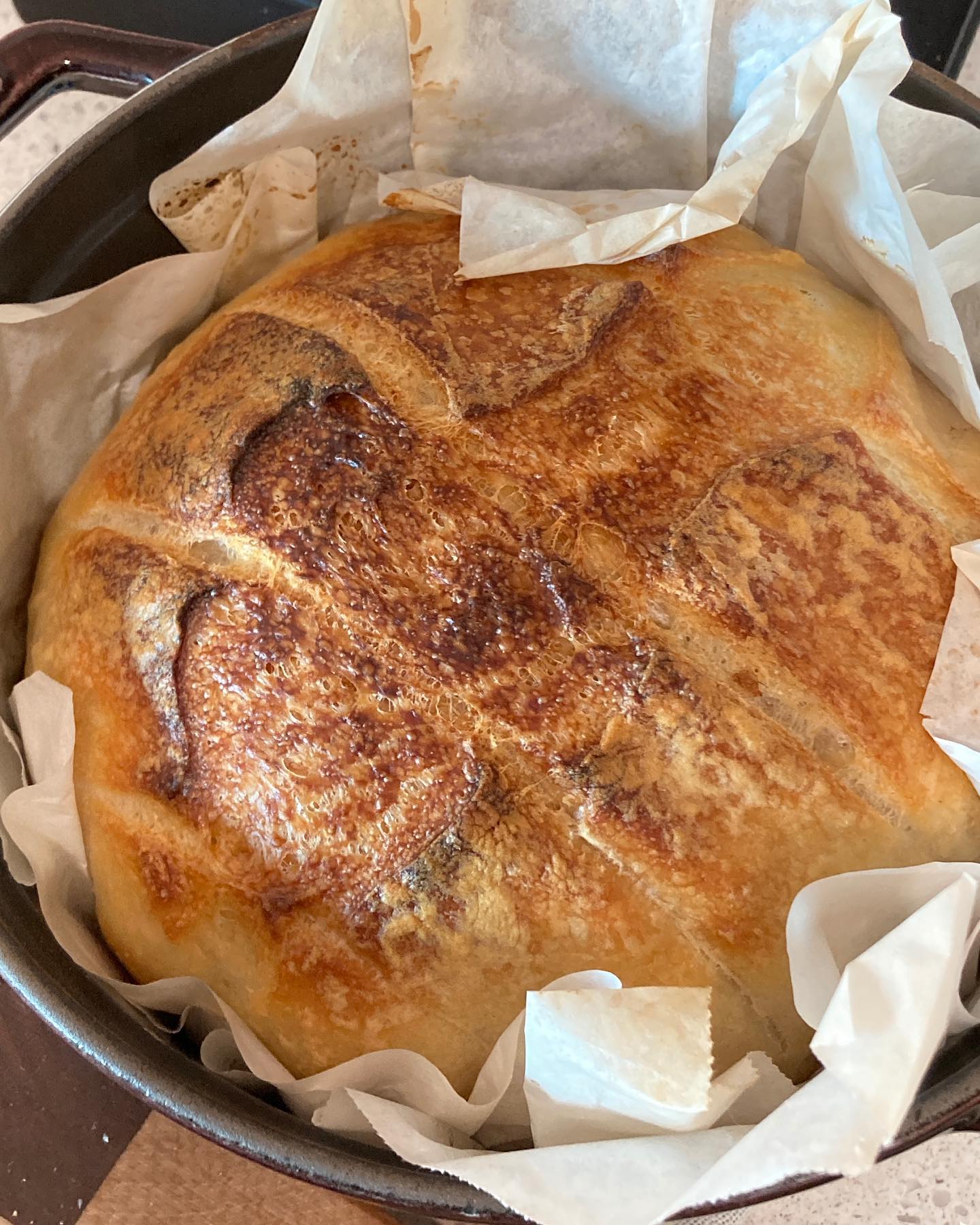 🥖사워도우빵을 만들줄이야?!