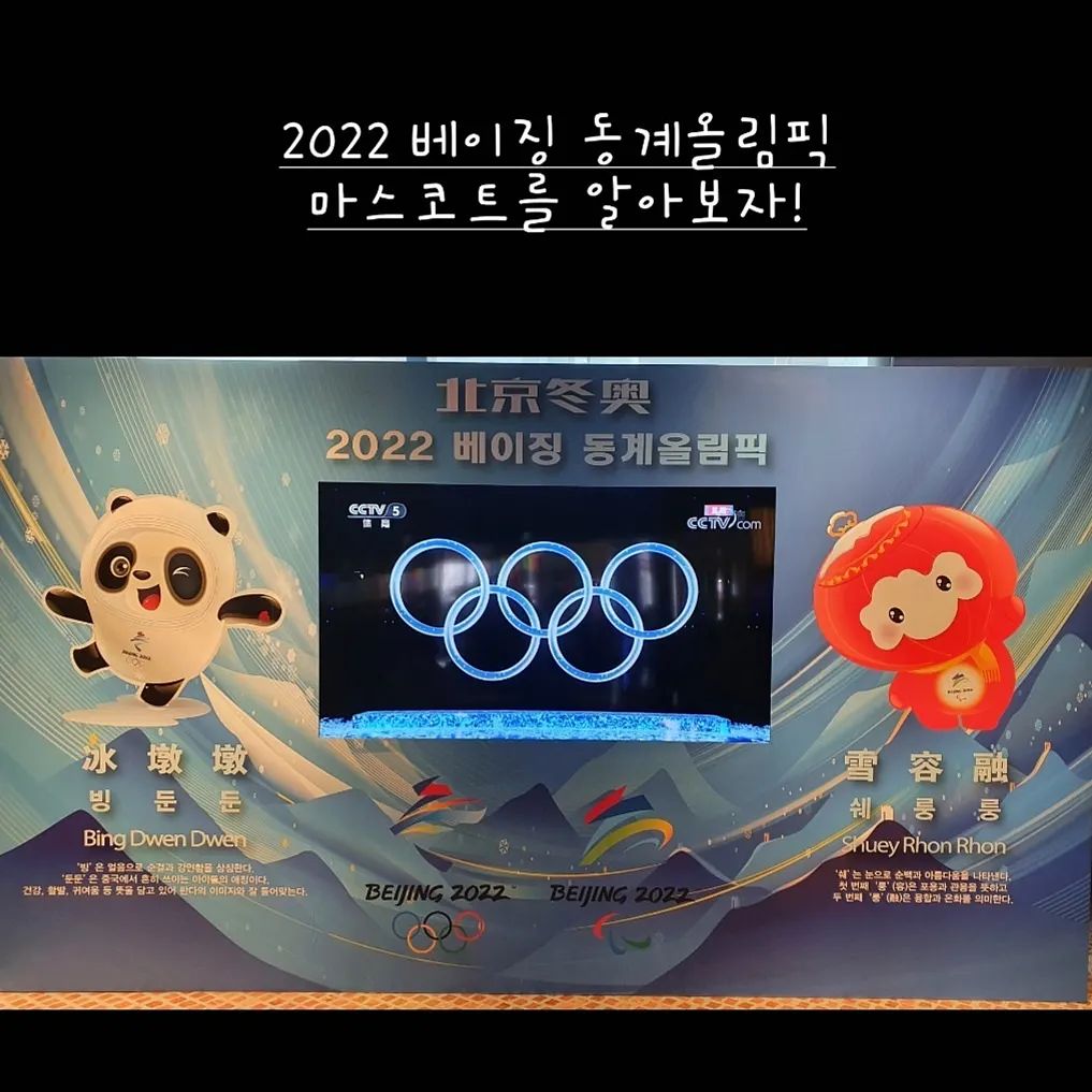 #北京冬奥会 

2주동안 우리를 즐겁게해준
베이징 동계올림픽

마스코트 이름 외우면서
마무리 해보세요!

#冰墩墩 #雪容融 
#중국어는희재쌤