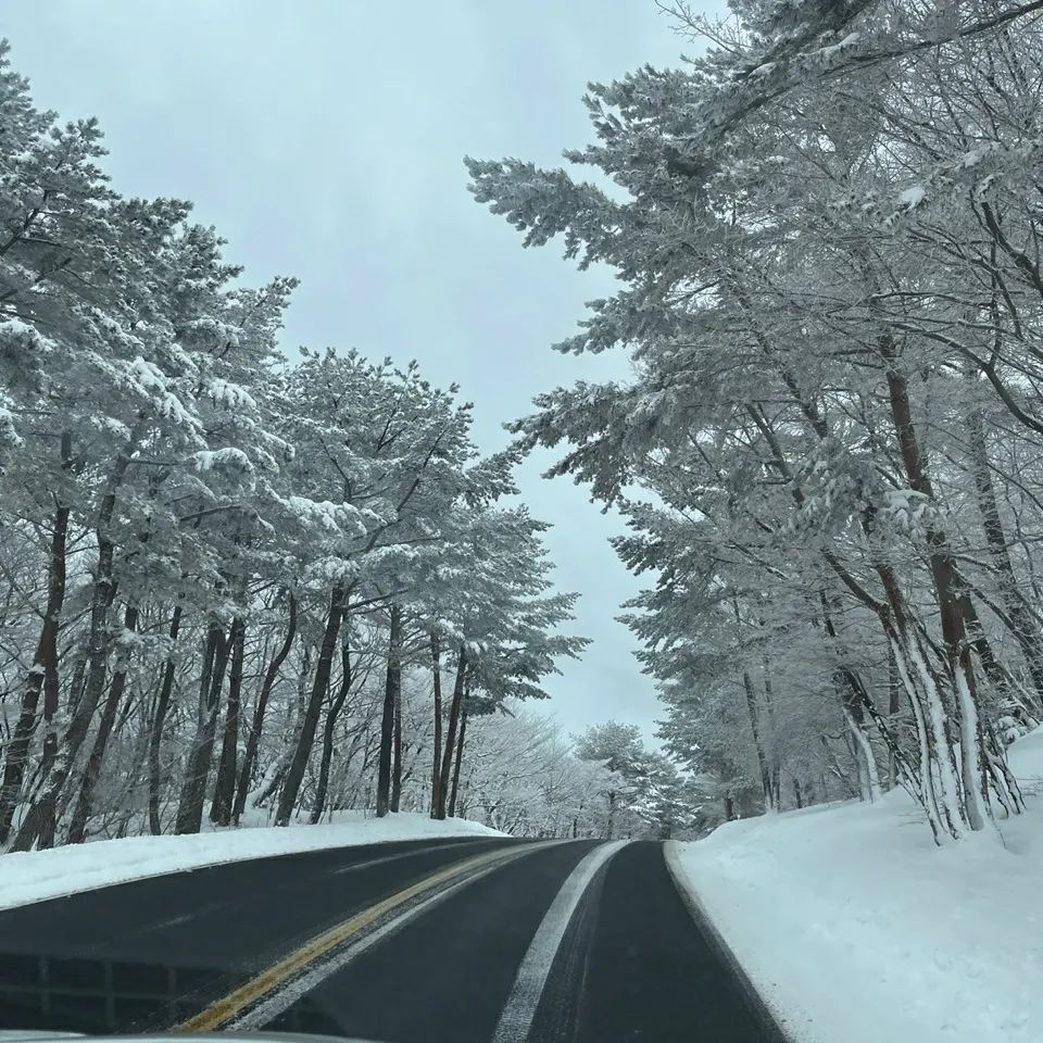 🗻❄

#제주여행 #1100고지 #1100도로 #한라산 #제주1100고지 #제주1100도로 #1100고지❄️ #제주눈 #제주도여행 #제주눈올때 #제주드라이브 #제주드라이브코스 #제주여행코스 #제주도여행코스 #눈 #❄ #눈길