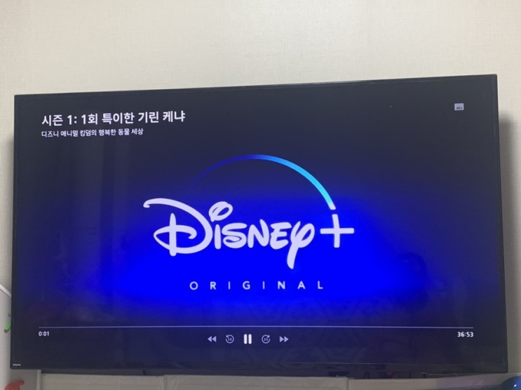 넷플릭스, 디즈니플러스, 유투브프리미엄 저렴하게 보는 방법 (쉐어컨텐츠 가격, 계정공유)