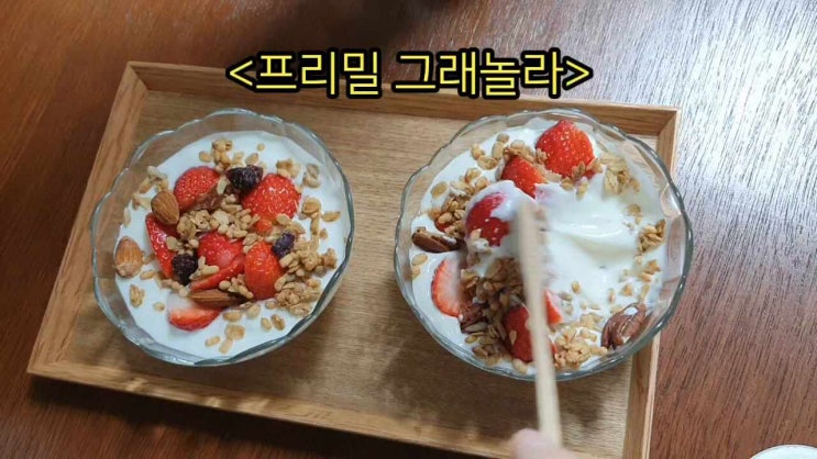 [프리밀그래놀라 플레인] 아침대용 요거트에 곁들일 수재그래놀라 추천(2번째 사용)