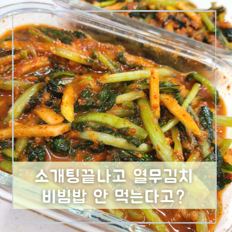 국내산 맛있는 열무김치 파는 먹부림마켓 택배주문