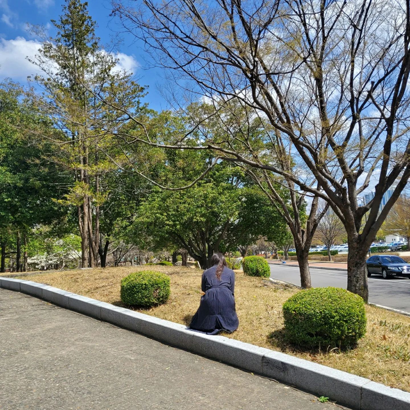 아구니까컨셉이 동그란 나무라고요