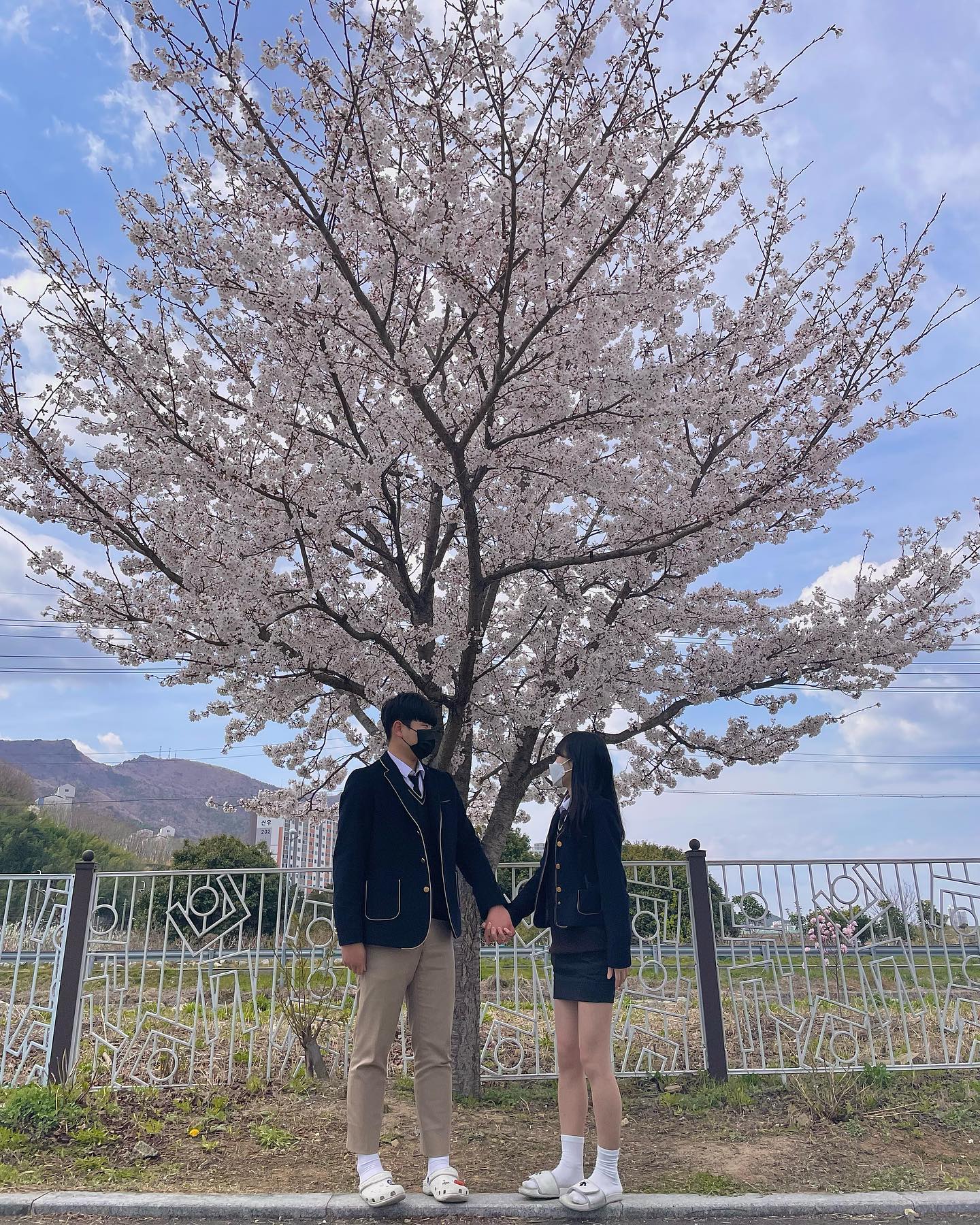 콘텐츠
