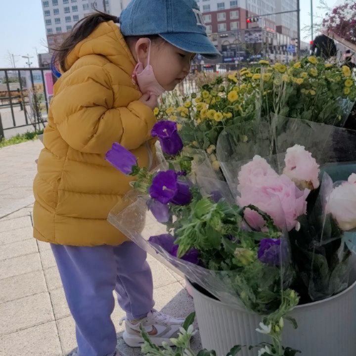 🧒#언니뚜니와주말일기

뚜니가 좋아하는 💐꽃 구경 왔어요

점심먹고 집으로 돌아오는 길에
임시 꽃집이 오픈했는데 구경갈까 물으니
🧒눈이 반짝반짝 신나는 발걸음🏃‍♀️

꽃 하나하나 킁킁 냄새 맡으며
🧒엄마 향기가 좋아요~ 너무 향기가 좋다
연발하며 온 꽃 사이를 헤집고 다니는
뚜니를 제지하느라 땀 삐질삐질💦

뚜니에게 사고싶은 꽃을 골라보라고 했더니
🧡주황+노랑💛 이 믹스된 예쁜 색감의
키스넬리스 🌷튤립을 골랐는데

갑자기.. 노랗고 흐드러지게 핀
🏵수선화 한다발을 들더니 그걸 하겠데요

카드 내밀어서 결제도 직접 하고
💐꽃다발 받아서 다시 신나는 발걸음으로
🏃‍♀️집으로 오는 뚜니랍니다

아직 수선화 발음이 어려운 뚜니가
🧒엄마~ 냄새가 좋아 이 꽃이 하며
🧒엄마가 이거 좋아할줄 알았어요~

라고 꽃을 고른 이유를 말해 주는데
주책맞은 엄마는 또 감동 받아서 눈물 찔찔😭

집으로 데려온 수선화는
뚜니가 냄새를 킁킁 맡으며

🧒예쁘게 잘 자라라~ 잘 피어~
하며 예뻐해 주고 있답니다

이제 진짜 💛봄이 온 것 같아요
제 마음에도, 제 인생에도

뚜니가 엄마 딸이어서 행복해🤱고마워
오늘도 자기 전에 말해줘야 겠어요

#사랑한다면안아주세요 #사랑한다고말해주세요
#너는내보물 #꽃사세요 #수선화
#꽃을좋아하는아기 #33개월아기
