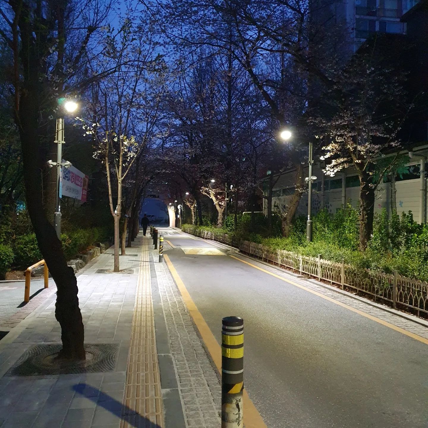 꼭두새벽에 일어나서 호기롭게 수영하러 갔는데...수영모 안가져감 ㅋㅋㅋㅋㅋ
다시 가지러가기도 시간부족
그냥 돌아가기도 아쉽고 혼자 셀카놀이 하다 옴

#새벽수영 #일찍일어나는새가피곤하다