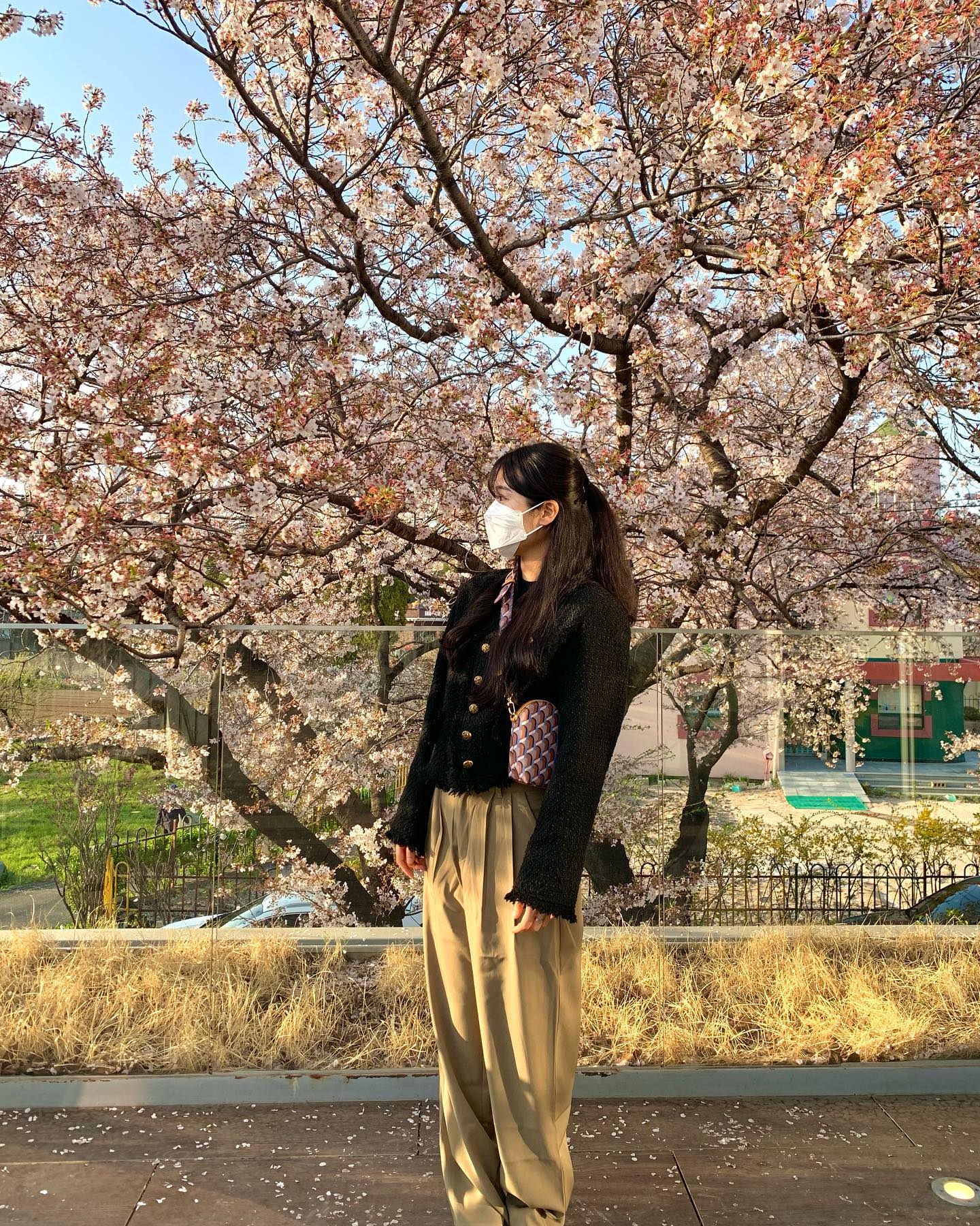 마지막 벚꽃🌸
매일이 피크닉 날씨인데 일집일집이라니🥲