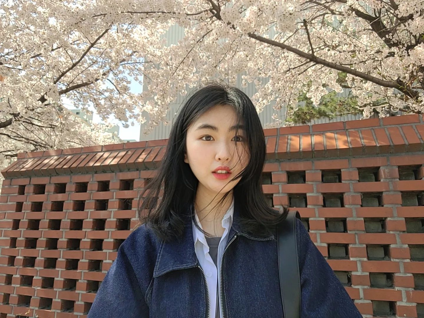 ⠀
아마도 올해 처음이자 마지막일 벚꽃이랑 찍는 사진🐰🌸