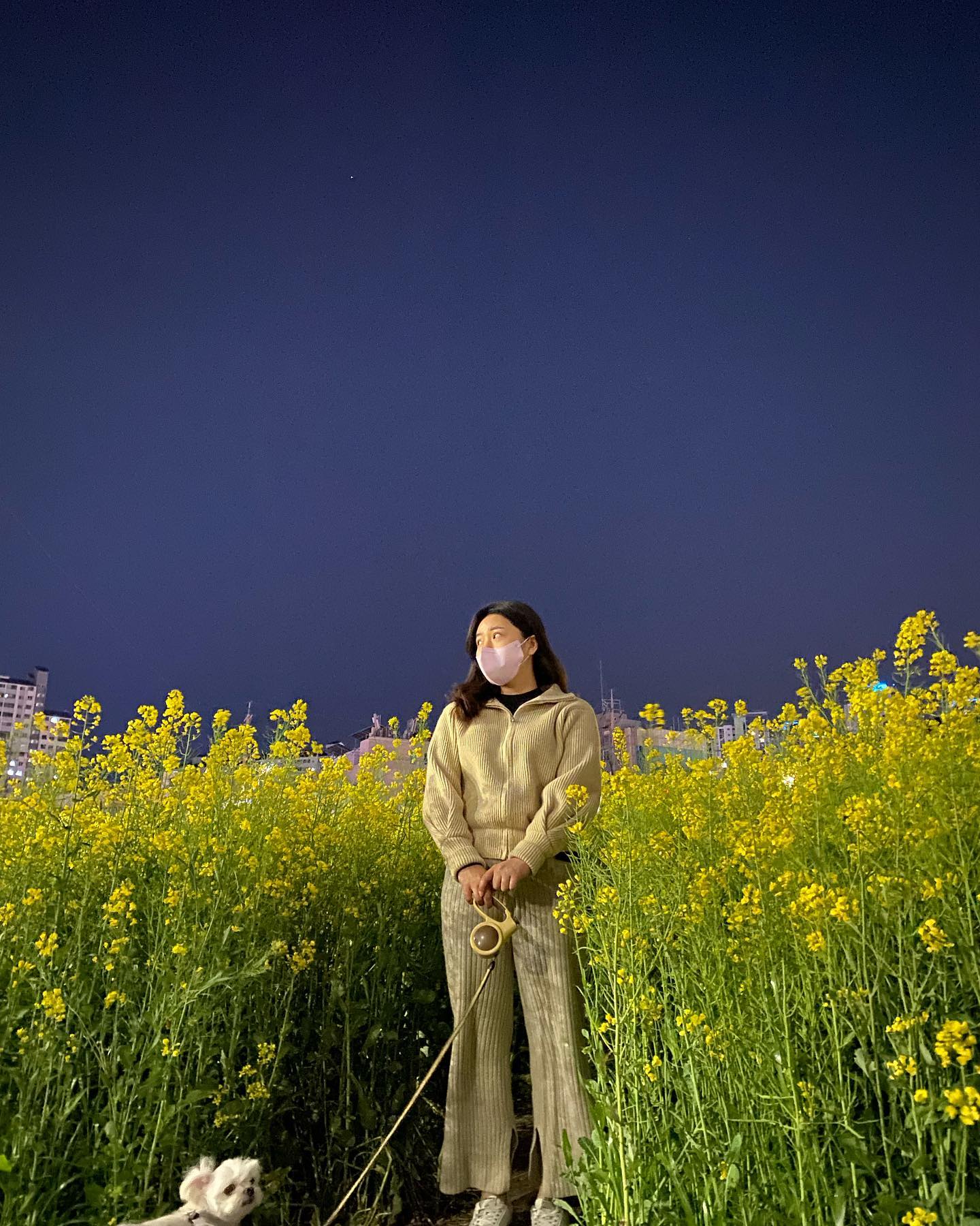 우리는 사람 없는 새벽이 좋고
잠 오는 강아지는 아무생각없고 🥱
#온천천