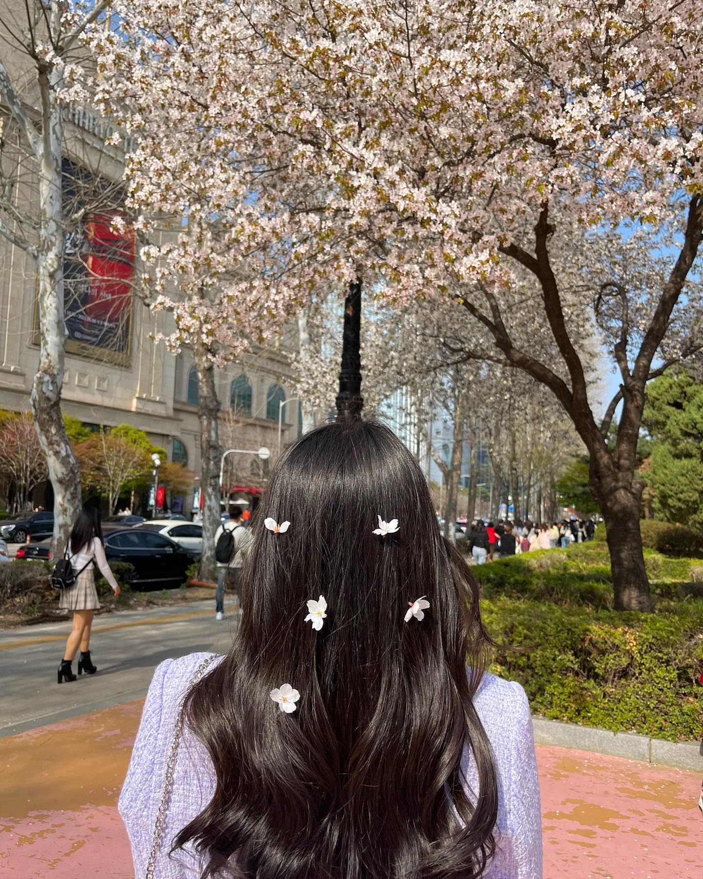 나두 벚꽃봤다💗