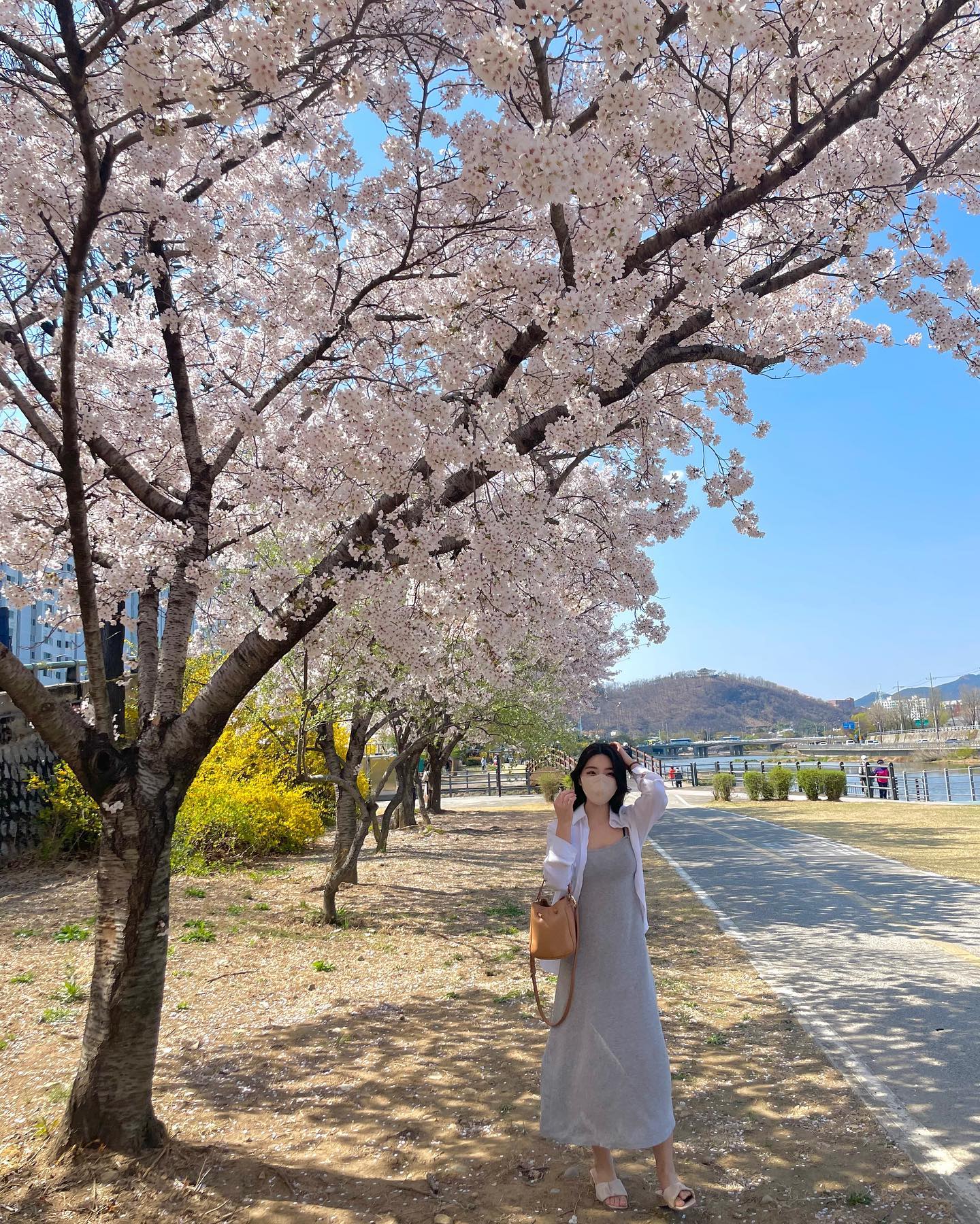 유민이가 대구까지와서 못본 팝콘 .. 대리만족 하슈👩🏻‍🌾