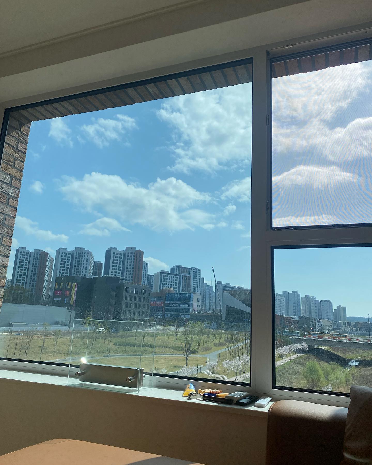 .
청량한 봄 하늘! 
강제기상용 우리 안방 창문ㅋㅋㅋ
낮잠은 허용되지 않아요☀️

창이 큰 집에 사니까 계절이 한 눈에 들어와서 참 좋다. 

언제나 빛이 애매하게 들던 나의 복현동 작은 방이 생각난다.
슬픈 과거도 아닌데 왜 그 집을 생각하면 가슴이 아릴까? 
이유없이 감상적 결론으로... 

#네모하우스#인테리어#신혼집인테리어#미니멀리스트#하우스인테리어#실내인테리어#바우하우스#모던#클래식#오후#실내조명#장스탠드조명#장스탠드#오늘의집#집꾸미기#반려묘#고양이#반려동물#꿀비#애옹#유기묘입양#사지마세요입양하세요#테라스#베란다#테라스인테리어#베란다꾸미기#테라스있는집#홈바베큐#바베큐#여행