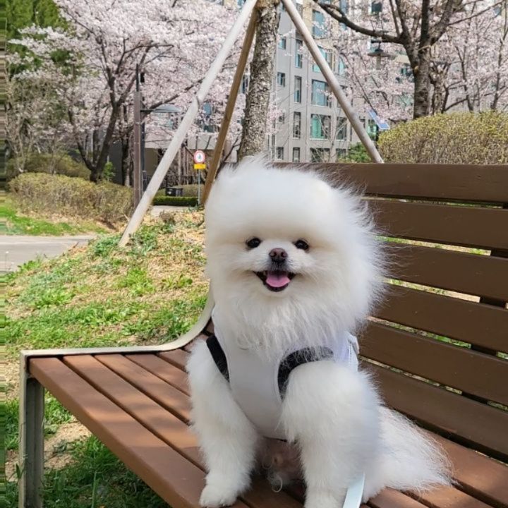 ت 
봄💕